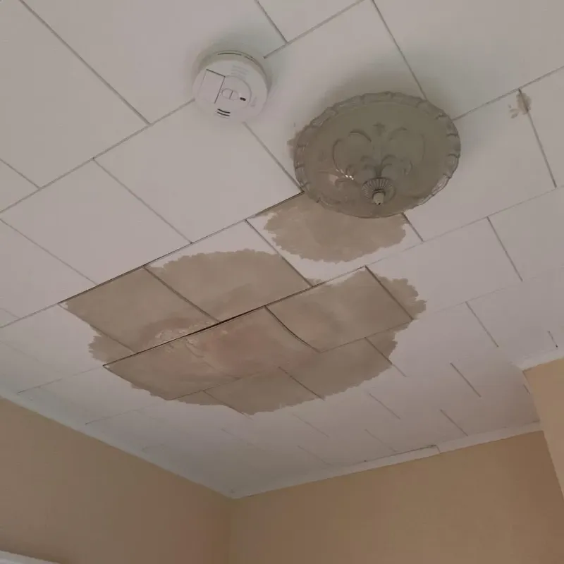 Ceiling Water Damage Repair in Montrose-Ghent, OH