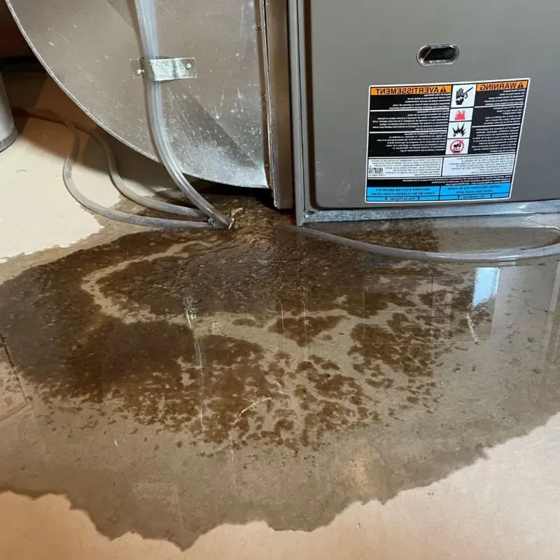 Pipe Burst and Leak Restoration in Montrose-Ghent, OH