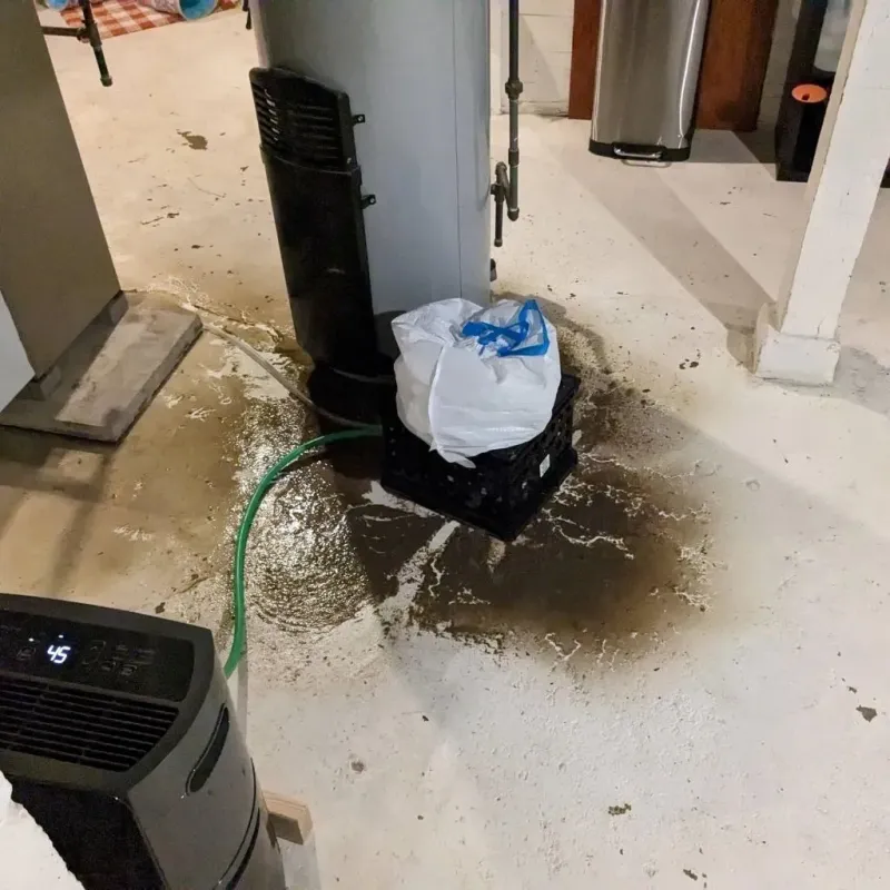 Sewage Backup Cleanup Service in Montrose-Ghent, OH